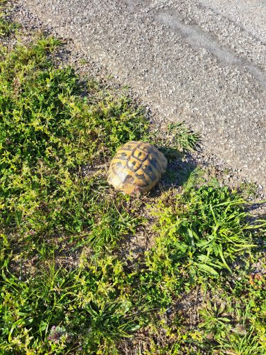 Begegnungen beim Wandern